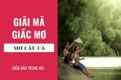 Giải mã giấc mơ: Nằm mơ thấy câu cá điềm báo gì, lành hay dữ? con số liên quan