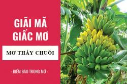 Giải mã giấc mơ: Nằm mơ thấy chuối, buồng chuối điềm báo gì, lành hay dữ? con số liên quan
