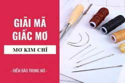 Giải mã giấc mơ: Nằm mơ thấy kim, chỉ điềm báo gì, lành hay dữ? con số liên quan