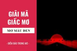 Giải mã giấc mơ: Nằm mơ thấy màu đen, màu sắc điềm báo gì, lành hay dữ? con số liên quan