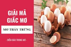 Giải mã giấc mơ: Nằm mơ thấy trứng gà, trứng vịt điềm báo gì, lành hay dữ? con số liên quan