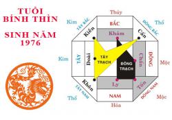 Sinh năm 1976 Bính Thìn hợp hướng nào?