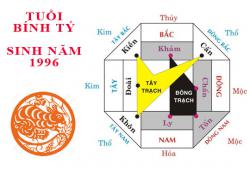 Sinh năm 1996 Bính Tý hợp hướng nào?