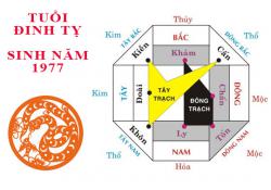 Sinh năm 1977 Đinh Tỵ hợp hướng nào?