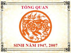 Sinh năm 2007 mệnh gì, tuổi gì và hợp màu gì?