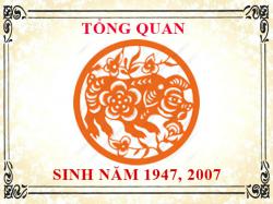 Sinh năm 2007 mệnh gì, tuổi gì và hợp màu gì?