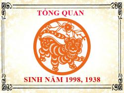 Sinh năm 1998 mệnh gì, tuổi gì và hợp màu gì?