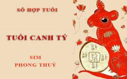 Tuổi Canh Tý hợp với số nào theo phong thuỷ, chọn sim phong thuỷ