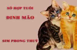 Tuổi Đinh Mão hợp với số nào theo phong thuỷ, chọn sim phong thuỷ