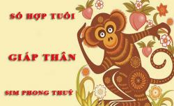 Tuổi Giáp Thân hợp với số nào theo phong thuỷ, chọn sim phong thuỷ