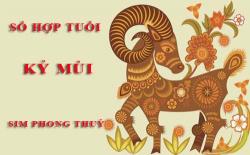 Tuổi Kỷ Mùi hợp với số nào theo phong thuỷ, chọn sim phong thuỷ