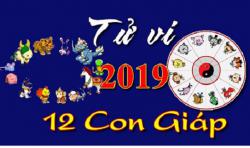 Xem tử vi năm 2019 của 12 con giáp để xem vận mệnh và may mắn