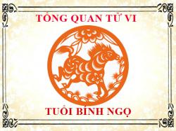 Tử vi tuổi Bính Ngọ 1966: Tổng quan về vận mệnh, tình yêu, sự nghiệp