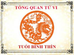 Tử vi tuổi Bính Thìn: Tổng quan về vận mệnh, tình yêu, sự nghiệp