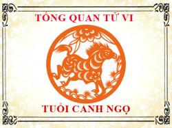 Tử vi tuổi Canh Ngọ 1990: Tổng quan về vận mệnh, tình yêu, sự nghiệp