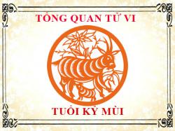 Tử vi tuổi Kỷ Mùi: Tổng quan về vận mệnh, tình yêu, sự nghiệp