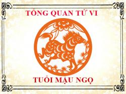 Tử vi tuổi Mậu Ngọ: Tổng quan về vận mệnh, tình yêu, sự nghiệp