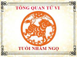 Tử vi tuổi Nhâm Ngọ 2002: Tổng quan về vận mệnh, tình yêu, sự nghiệp