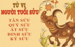 Tử vi tuổi Sửu: Tổng quan vận mệnh và cuộc đời