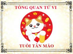 Tử vi tuổi Tân Mão 2011: Tổng quan về vận mệnh, tình yêu, sự nghiệp