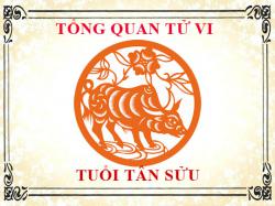 Tử vi tuổi Tân Sửu 1961: Tổng quan về vận mệnh, tình yêu, sự nghiệp