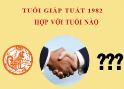 Sinh năm 1994 Giáp Tuất hợp với tuổi nào?