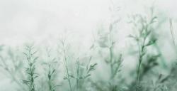 Trong nửa cuối năm, ba cung hoàng đạo có xu hướng chuyển sự nghiệp từ chậm sang tăng tốc cuối cùng cũng đạt được đà phát triển