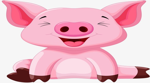 Tuổi Hợi hợp với màu gì và kỵ màu sắc nào nhất?