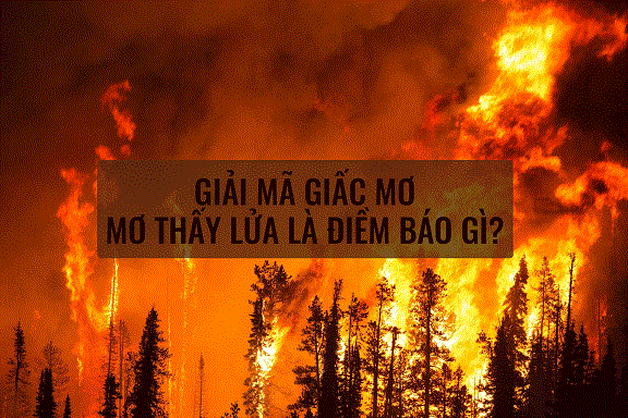 Giải mã giấc mơ: Mơ thấy lửa là điềm báo gì?