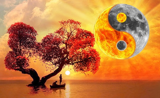 Bí ẩn Kinh Dịch: Kinh Dịch có phải chỉ để xem vận mệnh, xem phong thuỷ?