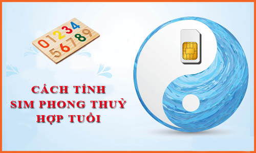 Hướng dẫn cách tính sim phong thuỷ hợp tuổi phát tài phát lộc cho 12 con giáp