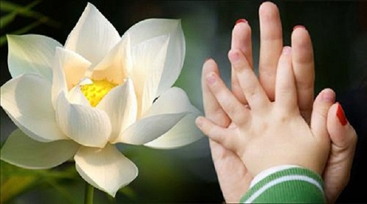 Cung hoàng đạo luôn được Đức Phật ban phước lành