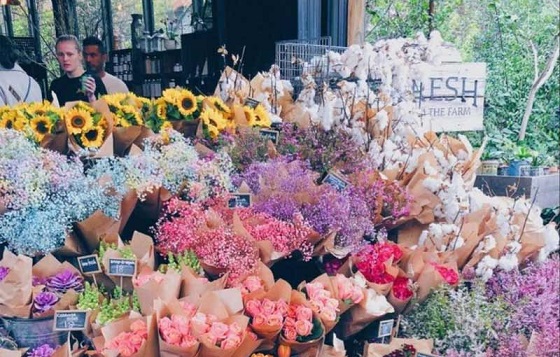 Những cung hoàng đạo luôn dễ dàng lấy lại năng lượng tích cực dù khó khăn đến đâu