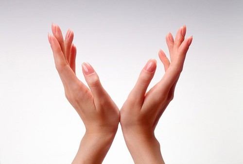 Đoán tính cách của bạn qua hình dáng bàn tay