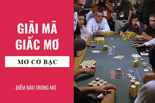 Giải mã giấc mơ: Nằm mơ thấy chơ cờ bạc, thua bạc điềm báo gì, lành hay dữ? con số liên quan