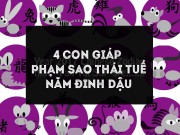 4 con giáp phạm sao Thái Tuế năm 2017 cần thận trọng