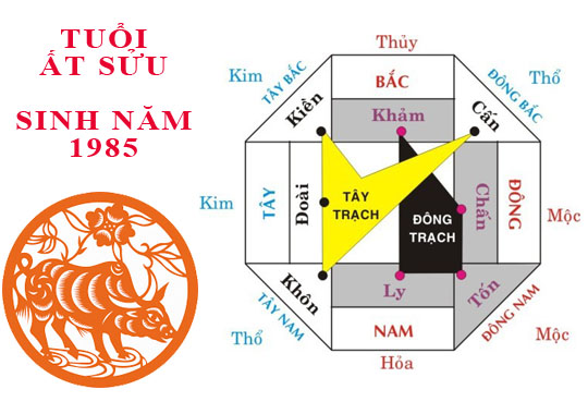 Sinh năm 1985 Ất Sửu hợp hướng nào?