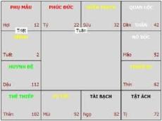 Tổng quát về Tử vi, lá số tử vi