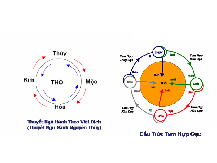 Ứng dụng ngũ hành trong giải đoán lá số tử vi