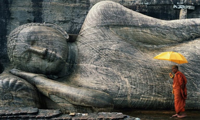 Nhân sinh tựa bốn mùa: gieo giống trong mùa xuân, kết hạt vào mùa hạ