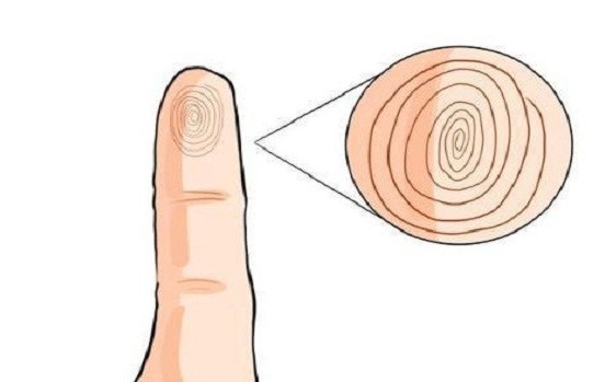 Nhìn ngón út biết tương lai giàu sang, phú quý hay lận đận cả đời