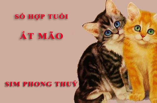 Tuổi Ất Mão hợp với số nào theo phong thuỷ, chọn sim phong thuỷ