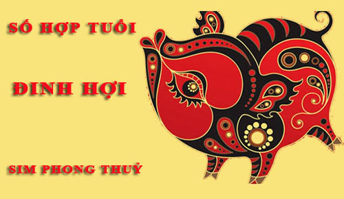 Tuổi Đinh Hợi hợp với số nào theo phong thuỷ, chọn sim phong thuỷ