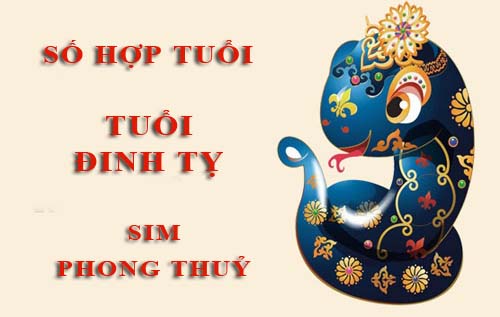 Tuổi Đinh Tỵ hợp với số nào theo phong thuỷ, chọn sim phong thuỷ