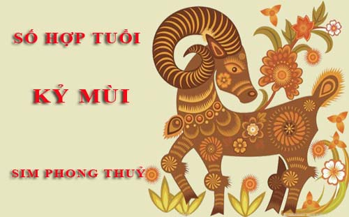 Tuổi Kỷ Mùi hợp với số nào theo phong thuỷ, chọn sim phong thuỷ