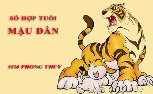 Tuổi Mậu Dần hợp với số nào theo phong thuỷ, chọn sim phong thuỷ