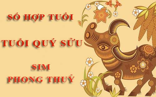 Tuổi Quý Sửu hợp với số nào theo phong thuỷ, chọn sim phong thuỷ