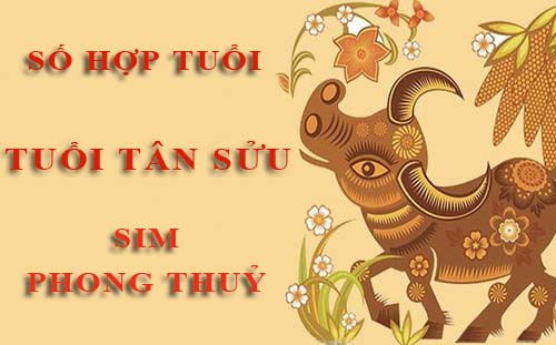 Tuổi Tân Sửu hợp với số nào theo phong thuỷ, chọn sim phong thuỷ