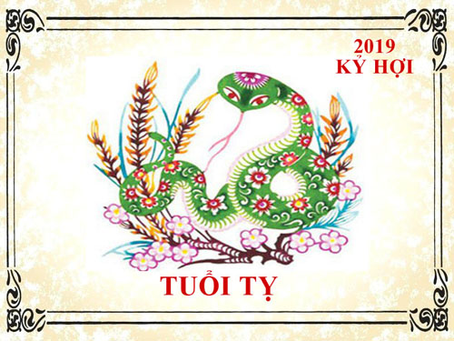 Xem tử vi tuổi Tỵ năm 2019 Kỷ Hợi: Vận khí thăng trầm, xảy ra nhiều biến cố