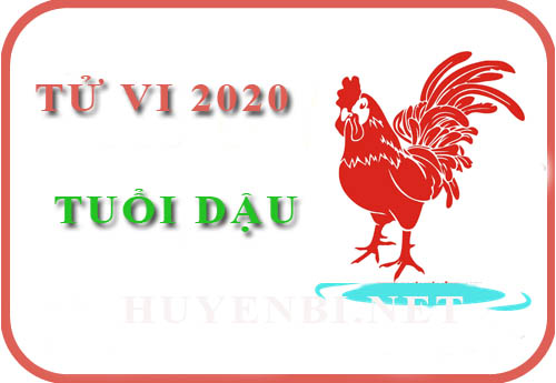 Tử vi năm 2020 của tuổi Dậu: Năm vô cùng may mắn trên nhiều lĩnh vực
